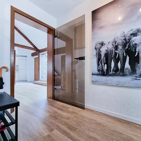 Apartment Alpha